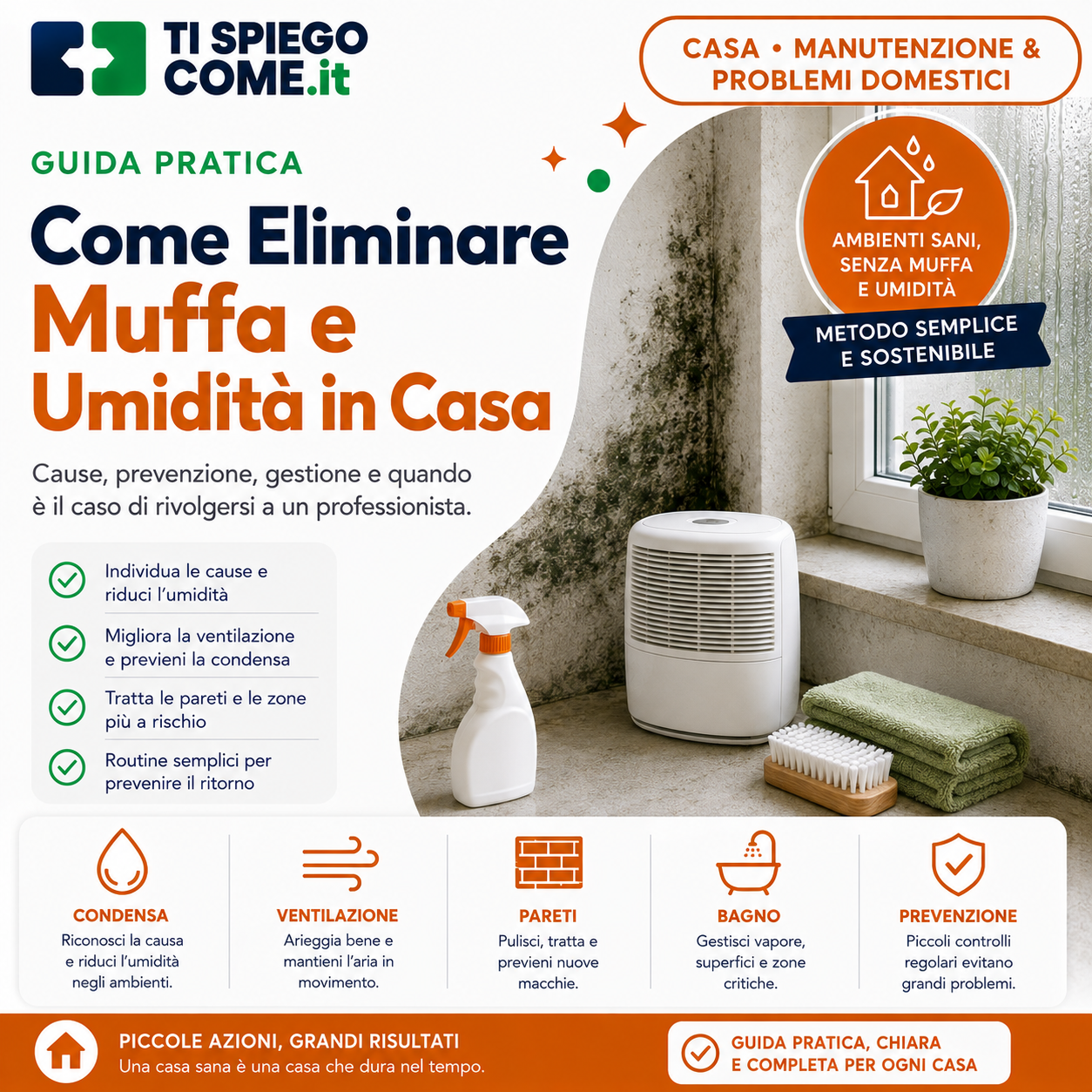 Come Eliminare Muffa e Umidità in Casa