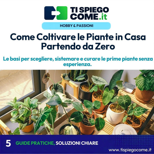 Come Coltivare le Piante in Casa Partendo da Zero
