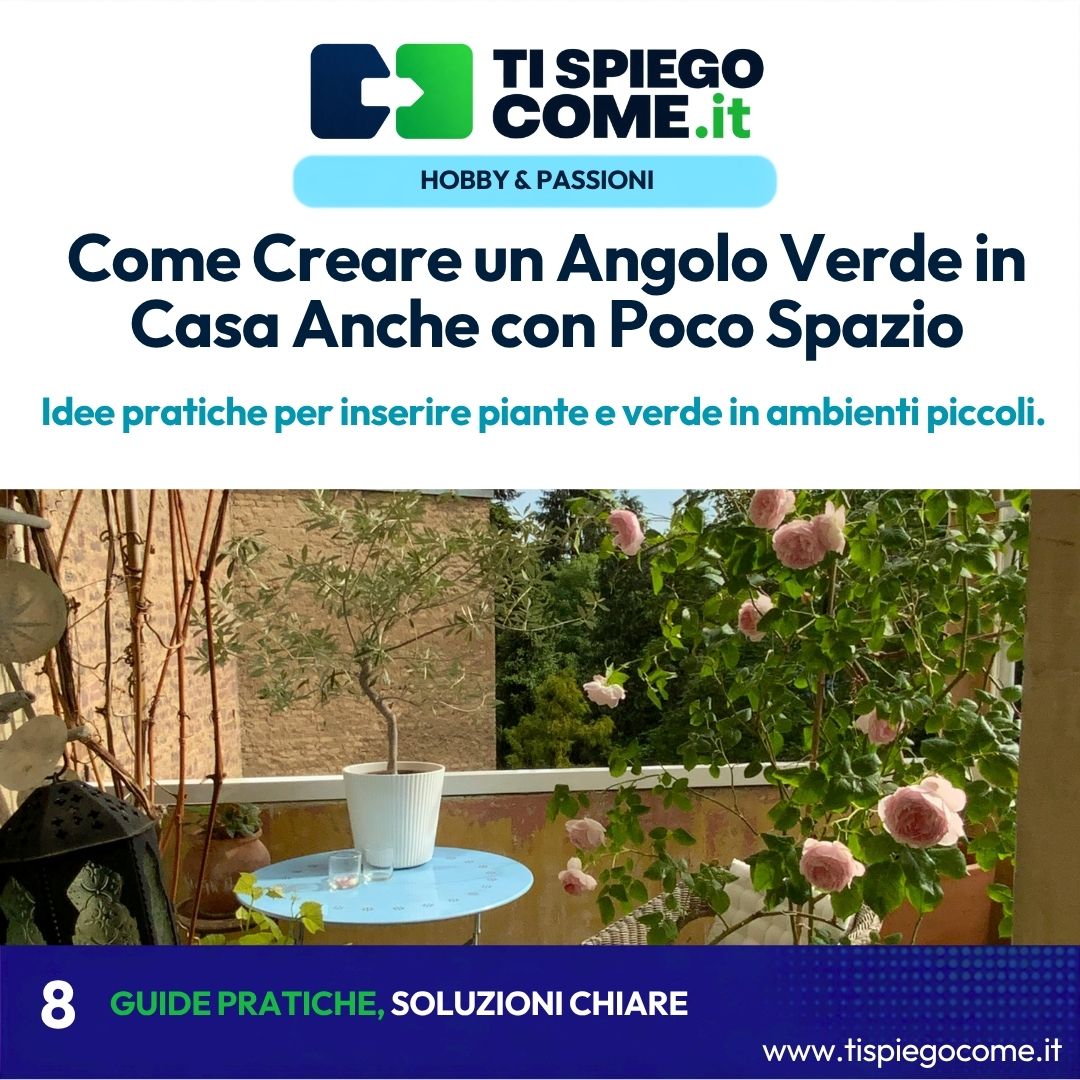 Come Creare un Angolo Verde in Casa Anche con Poco Spazio