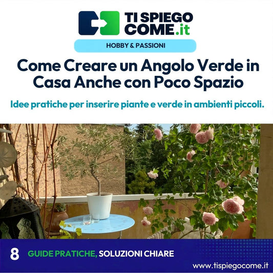 Come Creare un Angolo Verde in Casa Anche con Poco Spazio