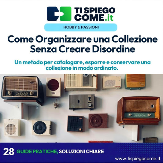 Come Organizzare una Collezione Senza Creare Disordine
